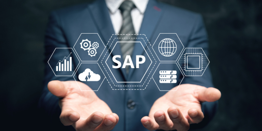 fiscal-year-variant-in-sap